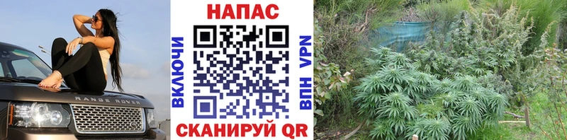 Наркотические вещества Чёрмоз АМФ  Меф  Гашиш  Марихуана 