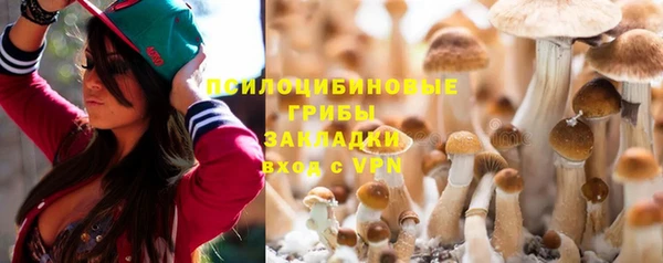 гашик Магадан