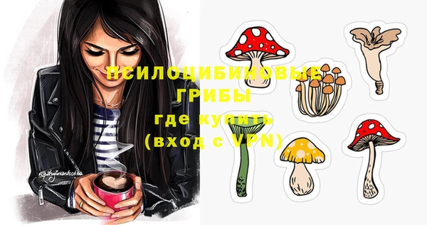 гашик Магадан