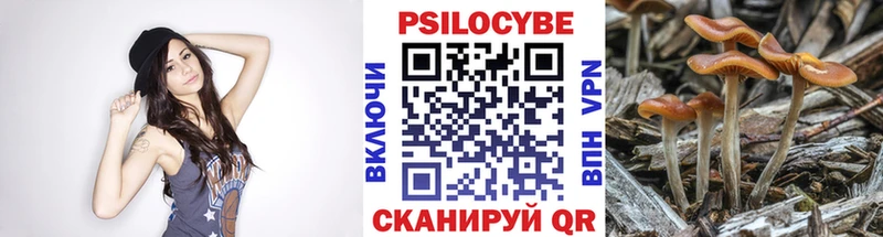 магазин продажи наркотиков  Чёрмоз  Псилоцибиновые грибы мухоморы 